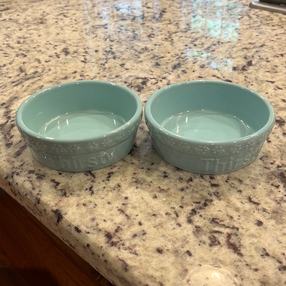 Two stoneware Pet bowls